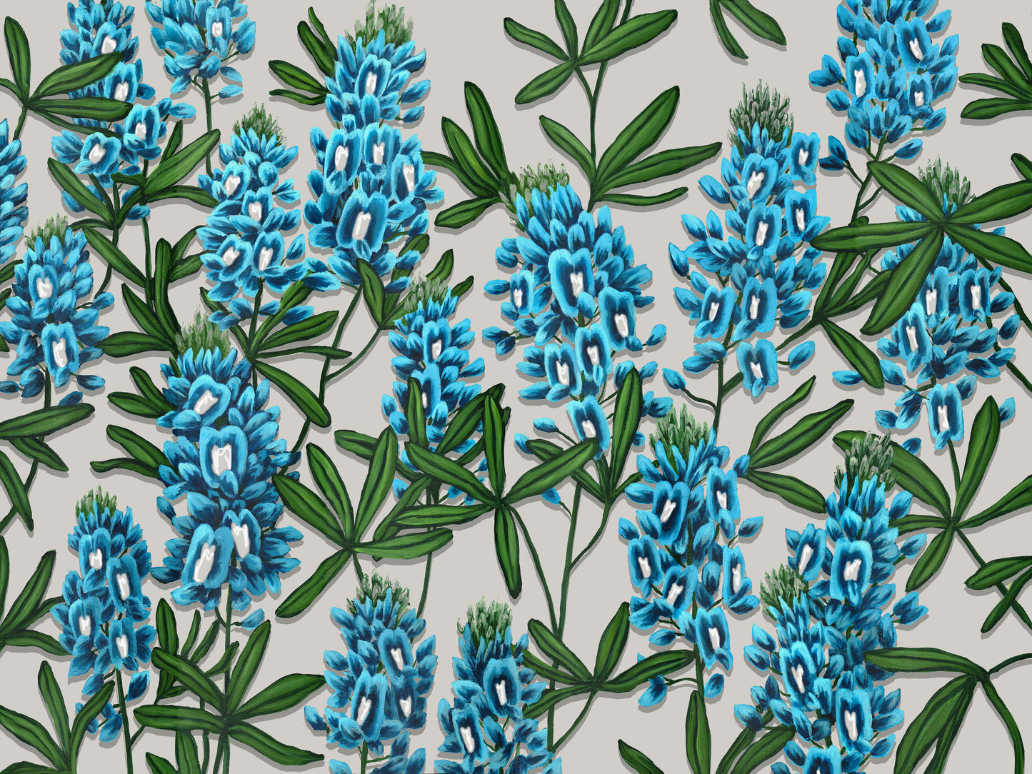 Bluebonnets giclée print on a gray background by Texas muralist Tyler Kay.