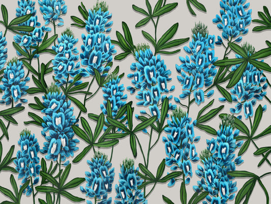 Bluebonnets giclée print on a gray background by Texas muralist Tyler Kay.