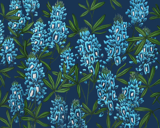 Texas bluebonnet giclée print on a navy background by muralist Tyler Kay.